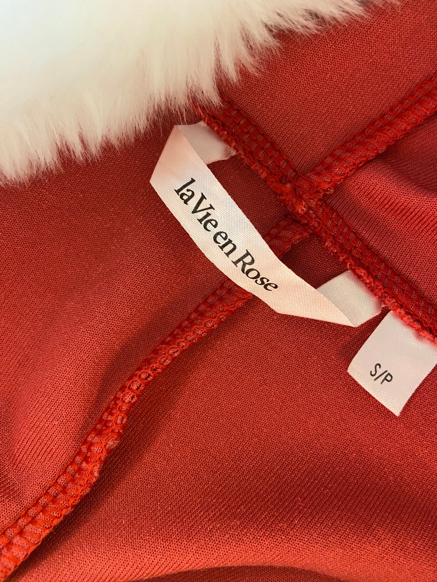 “LA VIE EN ROSE” SANTA MINI DRESS