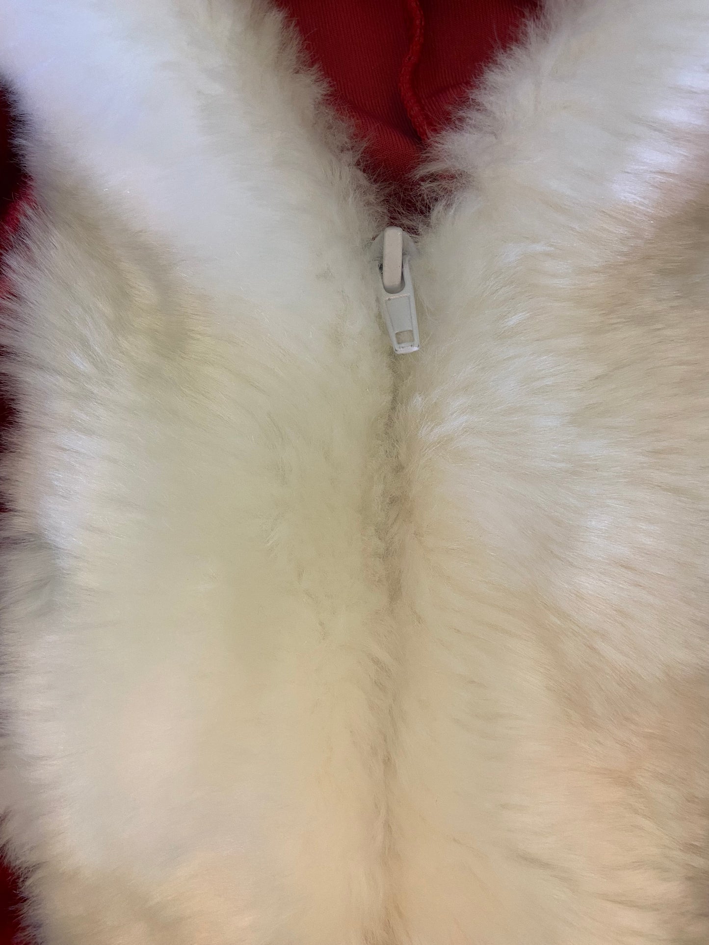 “LA VIE EN ROSE” SANTA MINI DRESS