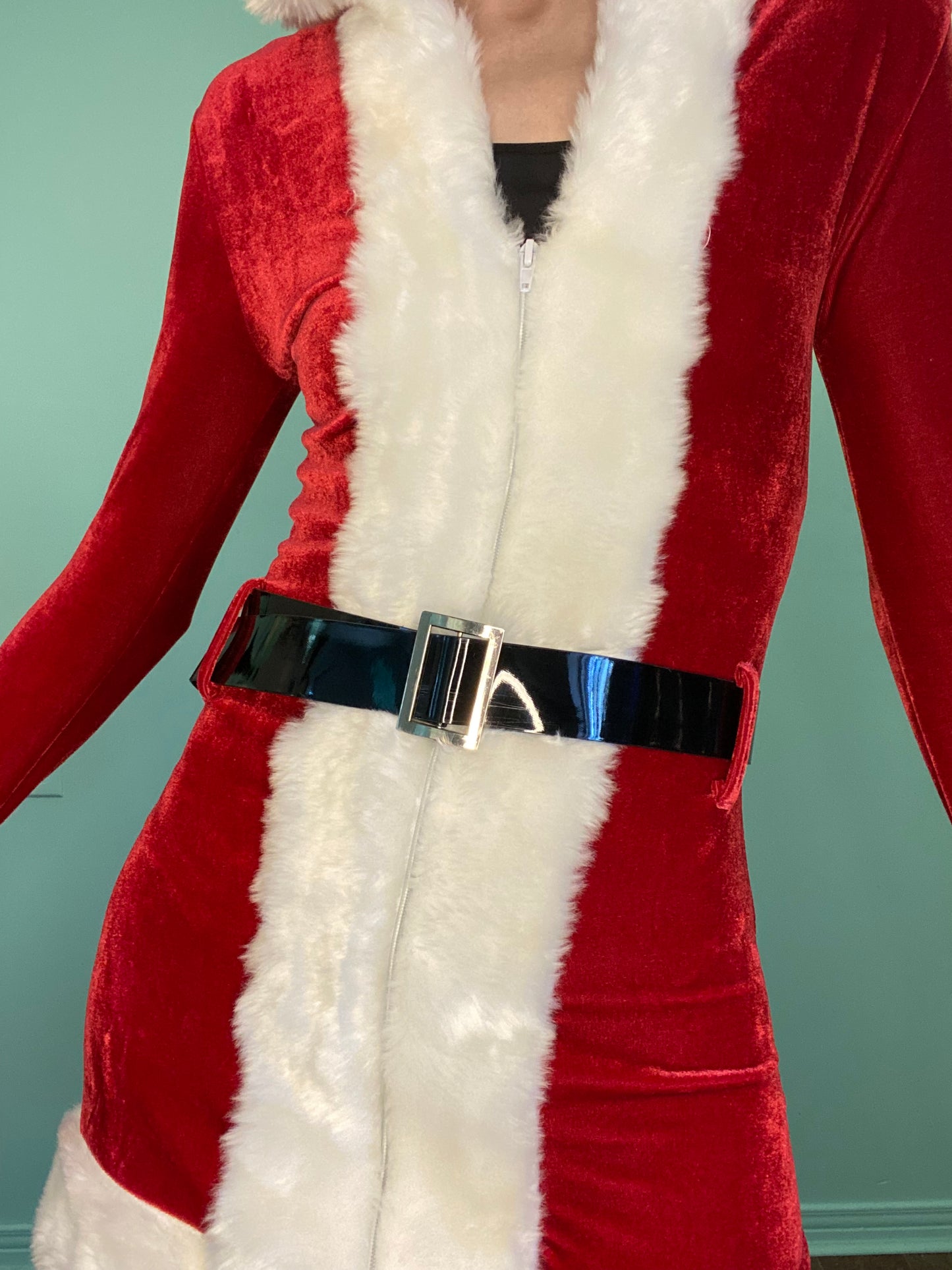 “LA VIE EN ROSE” SANTA MINI DRESS