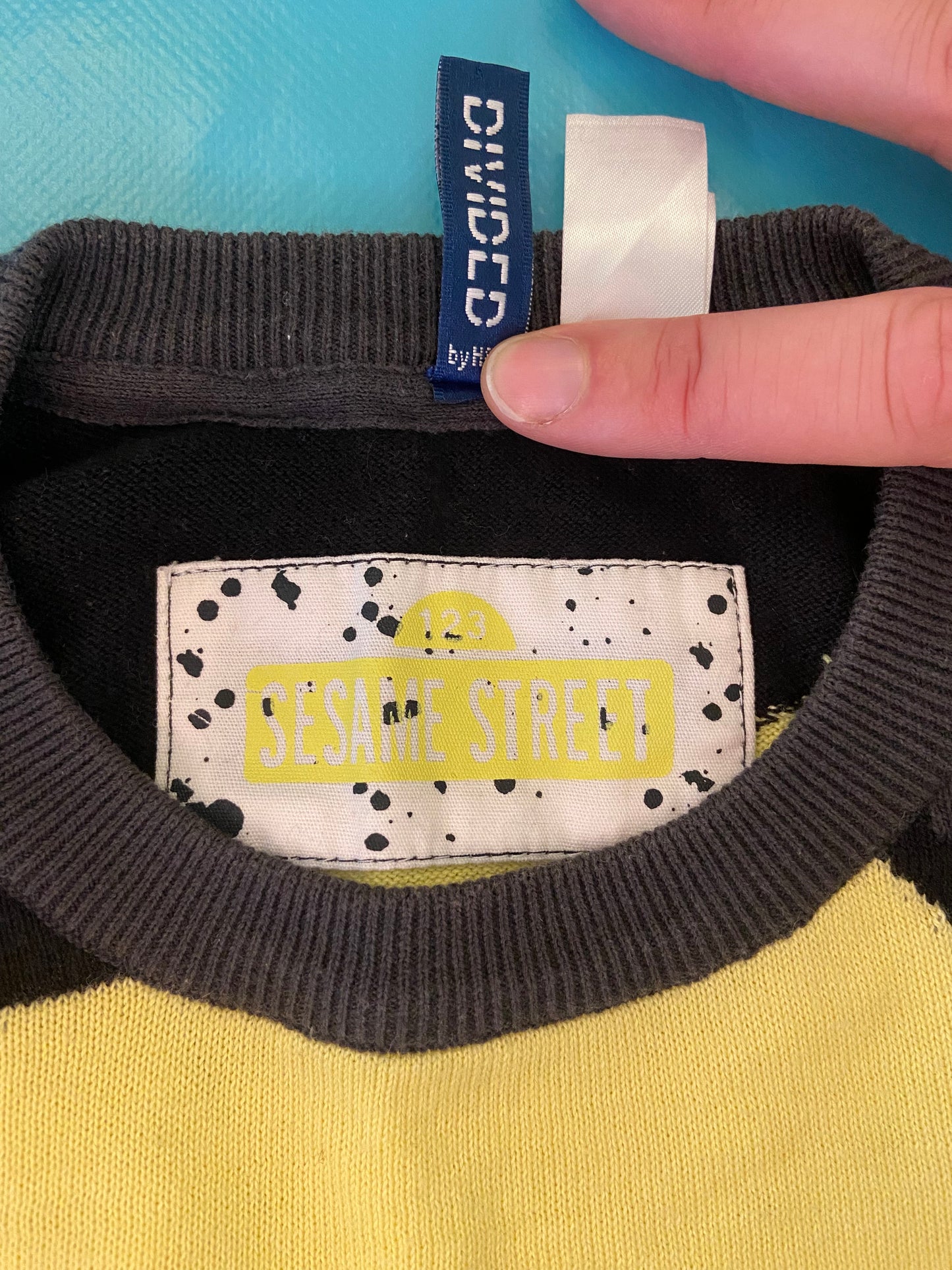 SUPER RARE "H&M SESAME STREET COLLAB" BERT SWEATER